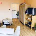 Rent 1 bedroom apartment of 38 m² in branik