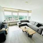 Rent 3 bedroom apartment of 70 m² in Zwijndrecht