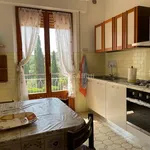 Rent 5 bedroom apartment of 110 m² in Siena