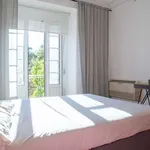 Rent a room in lisbon