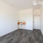 Rent 1 bedroom apartment in Brno