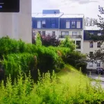 Rent 1 bedroom apartment of 33 m² in Limoges