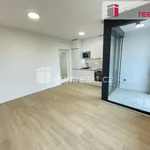 Rent 1 bedroom apartment in Capital City of Prague