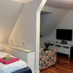 Miete 1 Schlafzimmer wohnung von 30 m² in Kassel