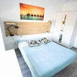 Rent 4 bedroom apartment in Valencia