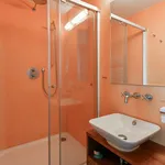 Rent 4 bedroom apartment of 151 m² in Prague