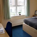 Rent 1 bedroom apartment in Canterbury