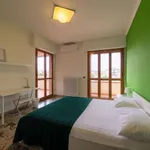 Rent a room in florence