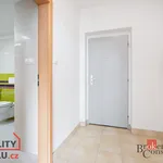 Rent 2 bedroom apartment of 55 m² in Pilsen