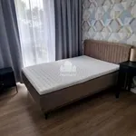 Rent 2 bedroom apartment of 50 m² in Toruń