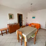 Rent 2 bedroom apartment of 45 m² in Vicenza