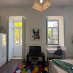 Rent 4 bedroom apartment in Coimbra