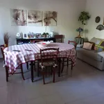 Rent 2 bedroom house of 200 m² in Bisceglie