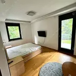 Rent 3 bedroom apartment of 80 m² in budapest