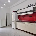 Rent 5 bedroom apartment in Capital City of Prague