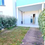 Rent 2 bedroom apartment of 53 m² in Pisa