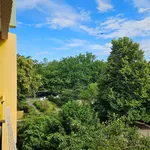 Rent 2 bedroom apartment of 47 m² in Hannover