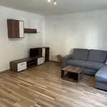 Rent 3 bedroom apartment in Plzeň