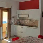 Rent 2 bedroom apartment of 50 m² in Belvedere Marittimo