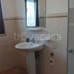 Rent 2 bedroom apartment of 50 m² in Ardea