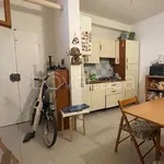 Rent 2 bedroom apartment of 50 m² in Pisa