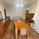 Rent 1 bedroom apartment of 60 m² in udine