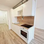 Rent 1 bedroom apartment in Brno