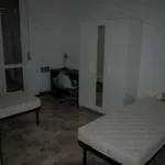 Rent a room in bologna