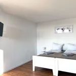 Rent 1 bedroom apartment of 43 m² in Osnabrück