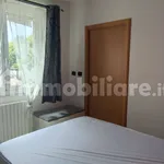 Rent 2 bedroom apartment of 45 m² in Bologna