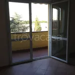 Rent 2 bedroom apartment of 70 m² in Cardano al Campo