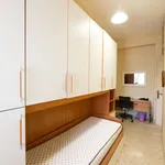 Rent a room of 160 m² in rome