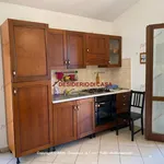 Rent 2 bedroom apartment of 40 m² in Campofelice di Roccella