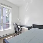  appartement avec 1 chambre(s) en location à Montreal