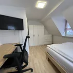 Rent 1 bedroom apartment of 36 m² in Stuttgart