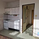 Rent 1 bedroom apartment in Tachov