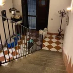 Casa Indipendente in in affitto da privato a San Giovanni a Piro via Principe Amedeo, 7, arredato, da privato, centrale - TrovaCasa