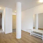 Rent 4 bedroom apartment of 134 m² in Capital City of Prague