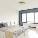 Rent 3 bedroom apartment of 90 m² in Den Haag