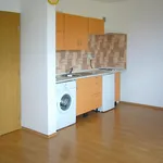 Rent 1 bedroom apartment of 32 m² in Brno