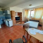 Rent 1 bedroom apartment in Oancea