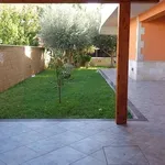 Rent 2 bedroom apartment of 50 m² in Syracuse