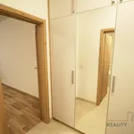 Rent 1 bedroom apartment in Praha 3