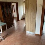 Rent 1 bedroom apartment of 45 m² in Firenze