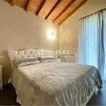 Rent 6 bedroom house of 210 m² in Seravezza