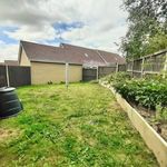 Rent 3 bedroom house in East Of England