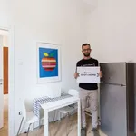 Rent 1 bedroom apartment of 35 m² in milan