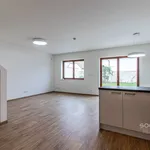 Rent 1 bedroom house of 200 m² in Prague