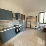 Rent 2 bedroom apartment of 55 m² in Turin