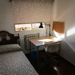 Alquilar 3 dormitorio apartamento en Madrid